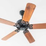 Atomberg vs Havells vs Orient vs Crompton: Which Ceiling Fan Brand to Buy in India?